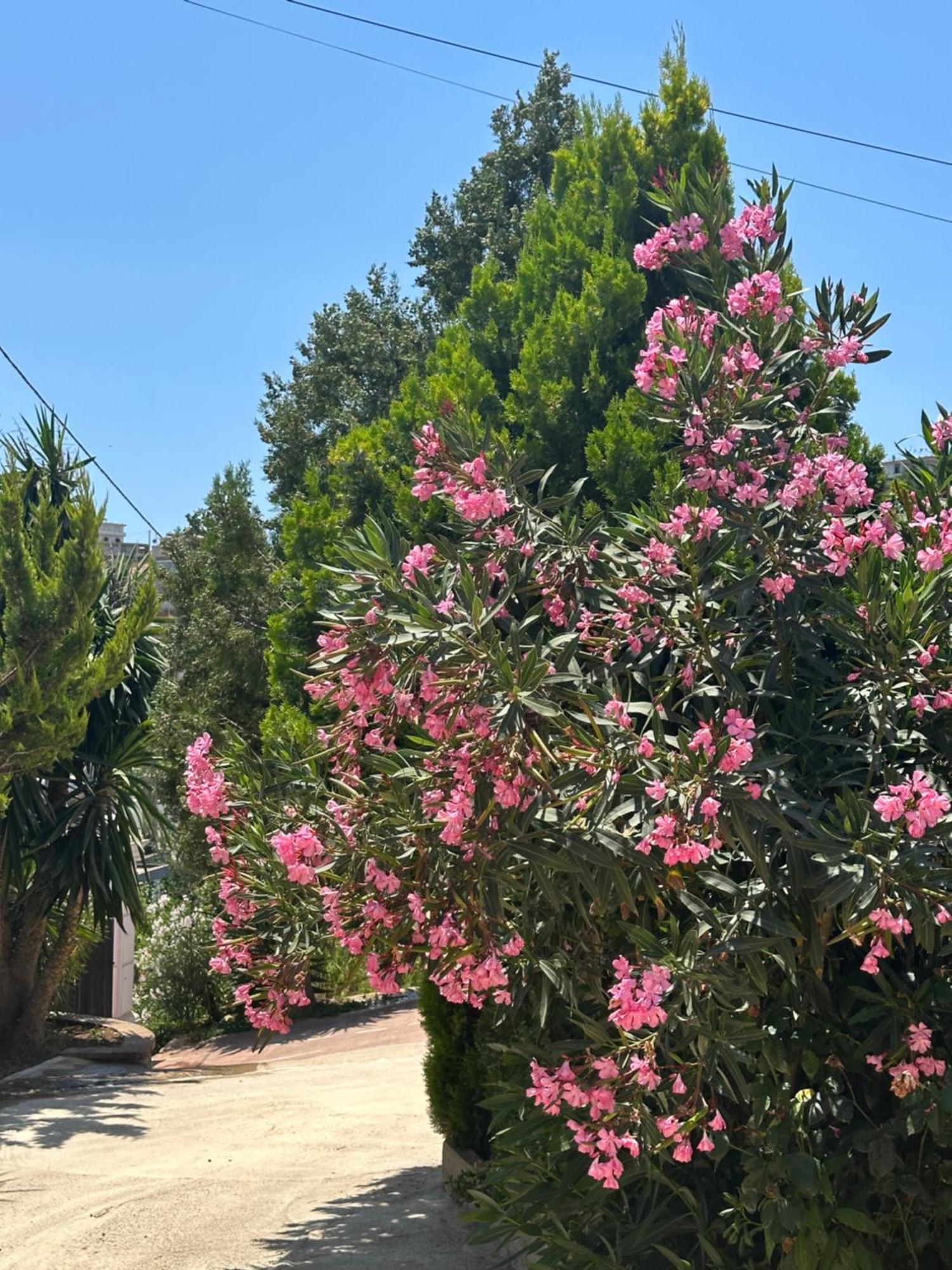Panoramic Views Of Saranda Lägenhet Exteriör bild